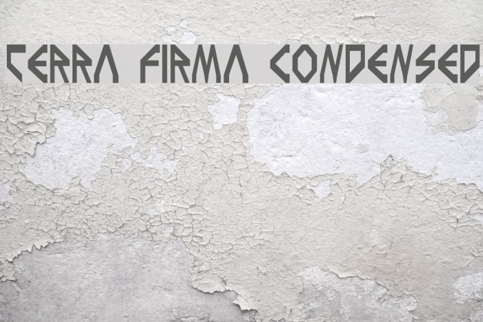 Terra Firma Condensed Font examples