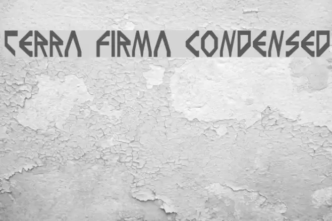 Terra Firma Condensed Font examples