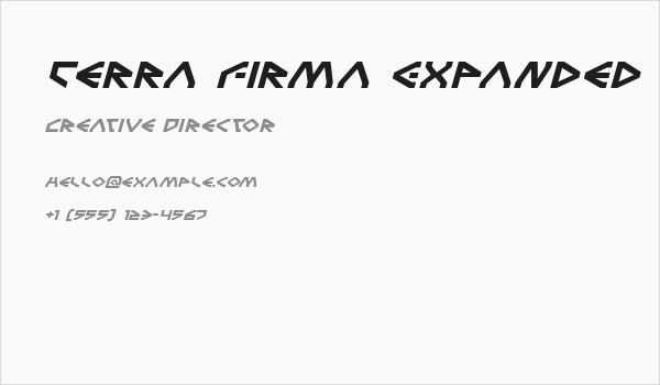 Terra Firma Expanded Italic Business Card