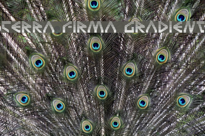 Terra Firma Gradient Example 1