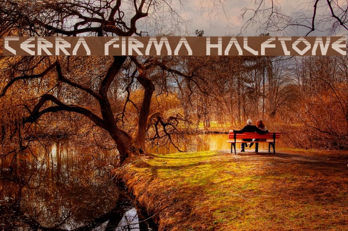 Terra Firma Halftone Example 1
