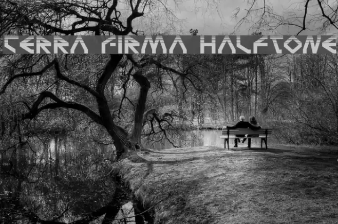Terra Firma Halftone Font examples