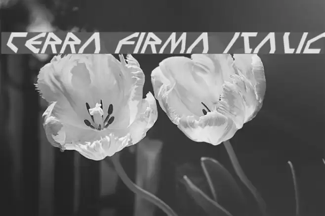 Terra Firma Italic Polices examples