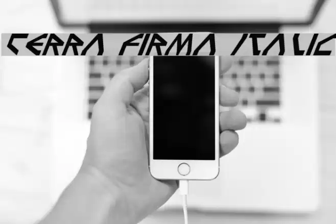 Terra Firma Italic Polices examples