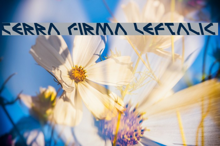 Terra Firma Leftalic Font examples