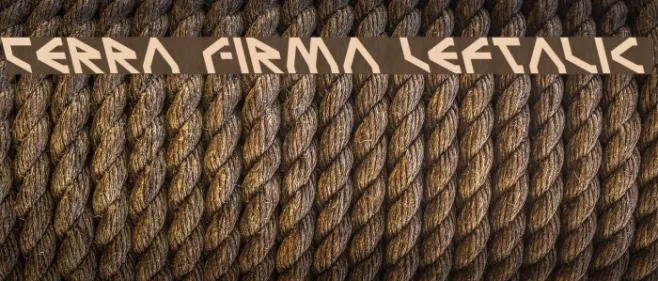 Terra Firma Leftalic Example 2