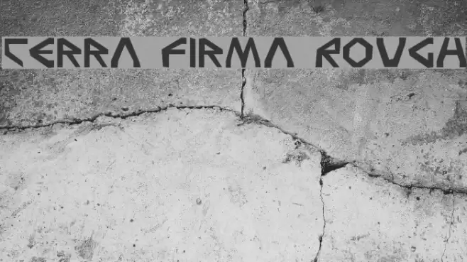 Terra Firma Rough Polices examples