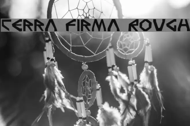 Terra Firma Rough Polices examples