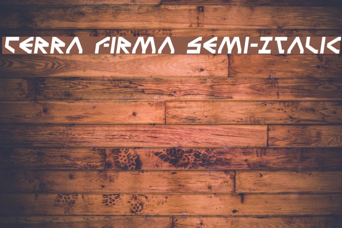 Terra Firma Semi-Italic Font examples