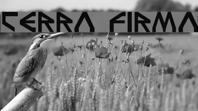 Terra Firma Font examples