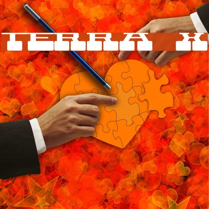 Terra  X Example 1