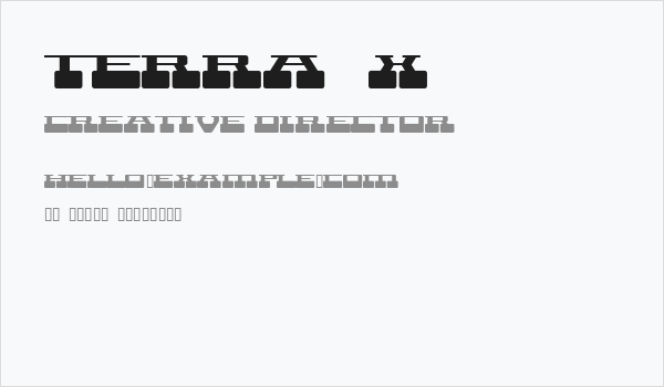 Terra  X Business Card