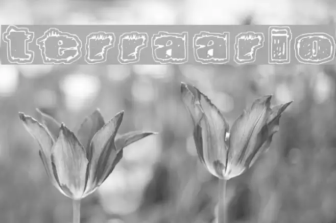 Terraario Font examples