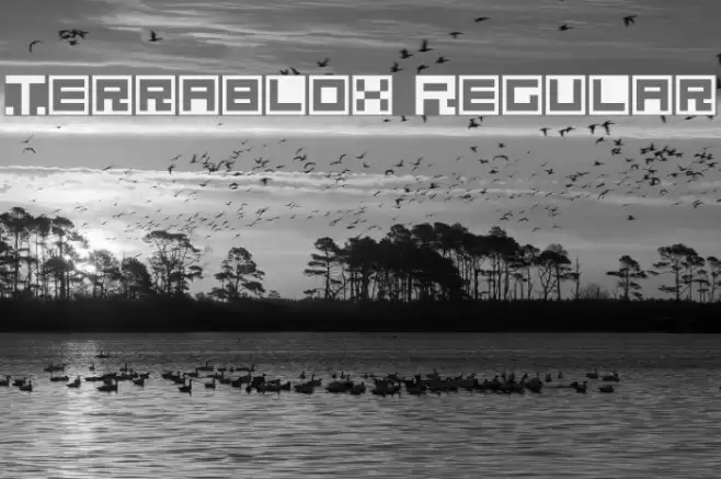 Terrablox Regular Font examples