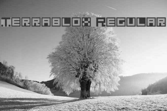 Terrablox Regular Font examples
