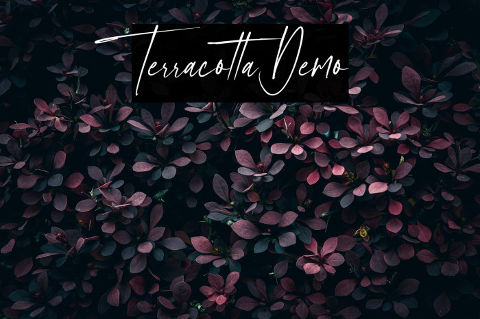Terracotta Demo Example 2