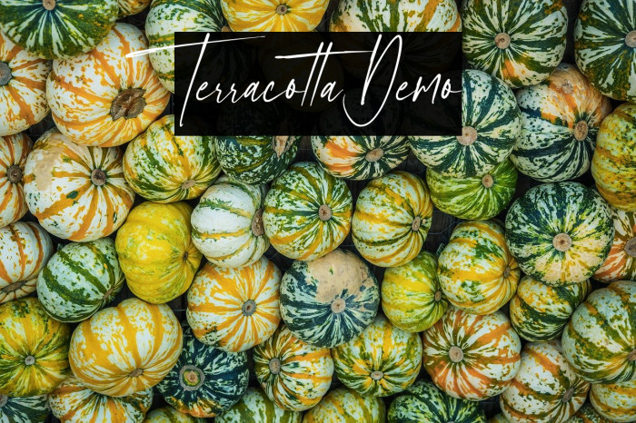Terracotta Demo Example 3
