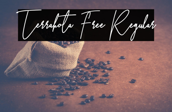 Terrakota Free Regular Example 1