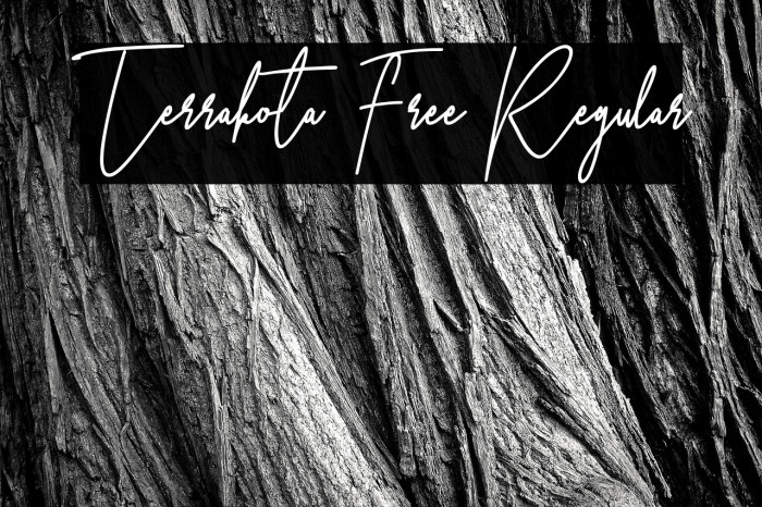 Terrakota Free Regular Example 2