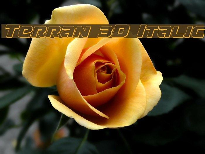 Terran 3D Italic Font examples