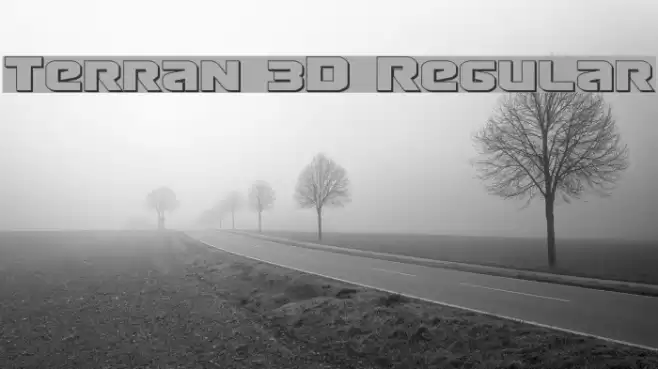 Terran 3D Regular examples