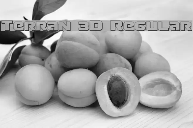 Terran 3D Regular examples