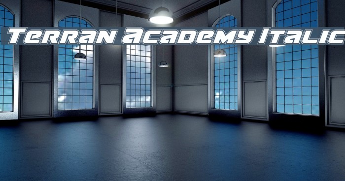 Terran Academy Italic Font examples