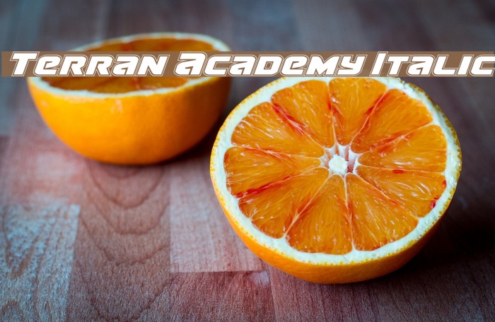 Terran Academy Italic Font examples