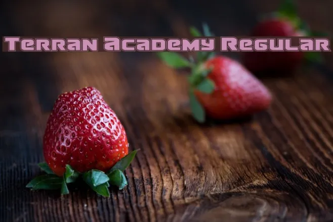 Terran Academy Regular Example 1