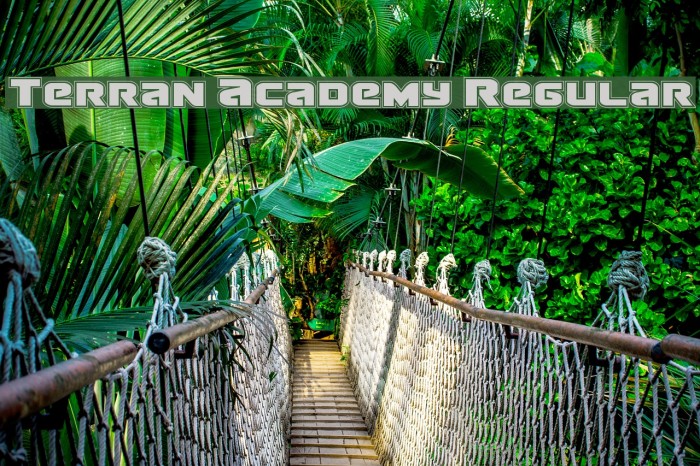 Terran Academy Regular Font examples