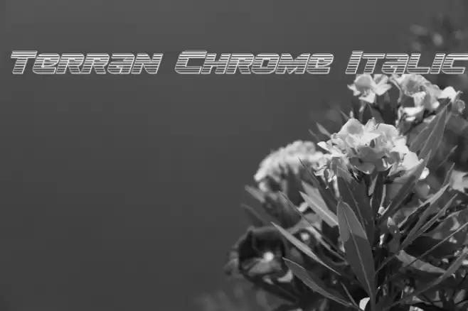 Terran Chrome Italic Font examples
