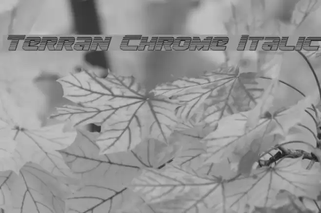 Terran Chrome Italic Font examples