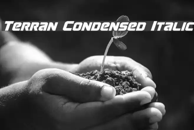 Terran Condensed Italic Font examples