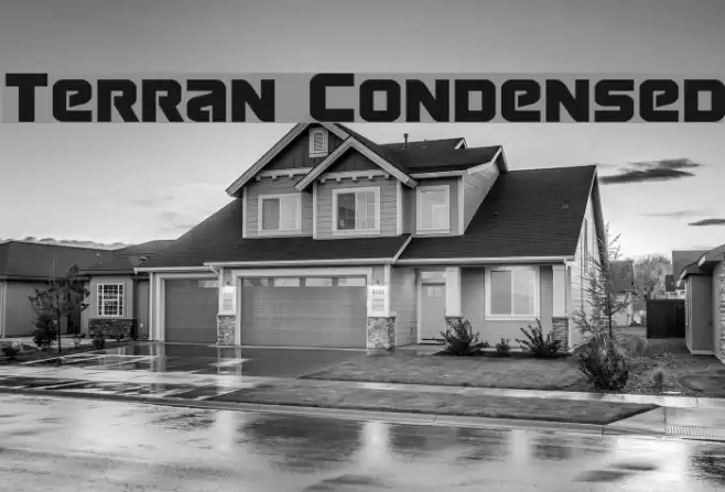 Terran Condensed Font examples