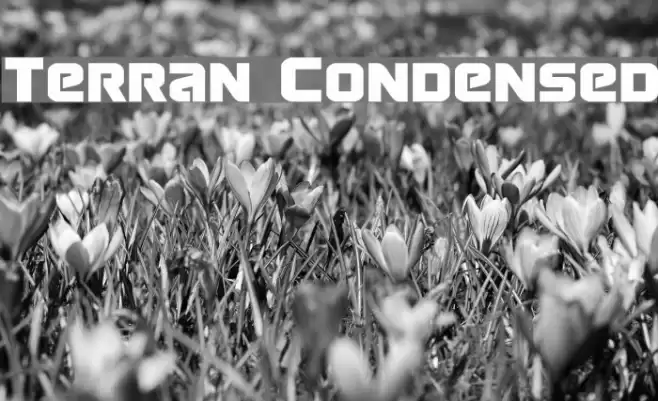 Terran Condensed Font examples