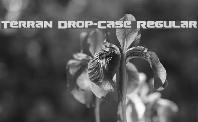 Terran Drop-Case Regular Font examples