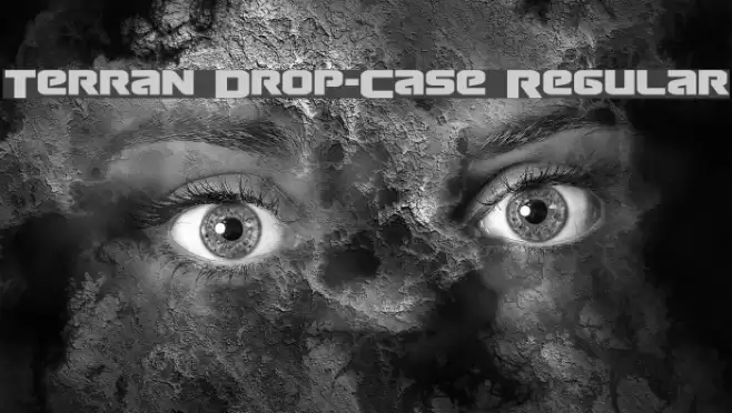 Terran Drop-Case Regular Font examples