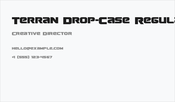 Terran Drop-Case Regular Business Card