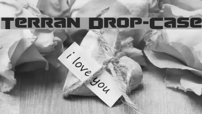 Terran Drop-Case Font examples