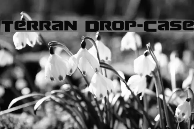 Terran Drop-Case Font examples