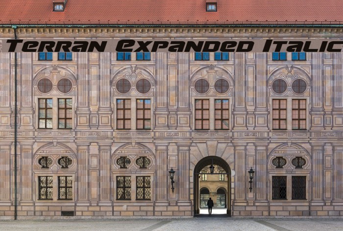 Terran Expanded Italic Example 1