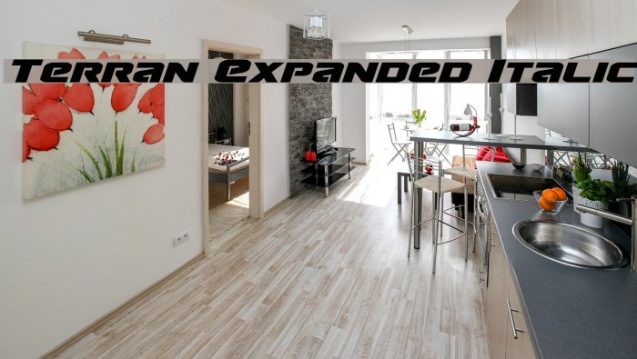 Terran Expanded Italic Example 2