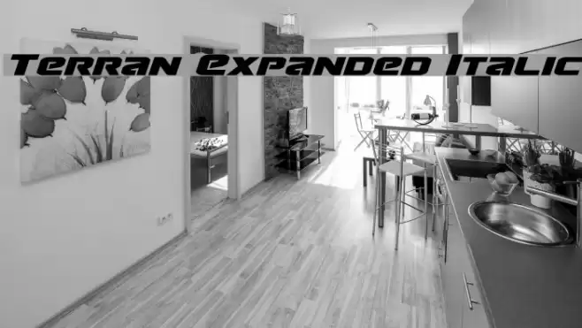 Terran Expanded Italic Font examples