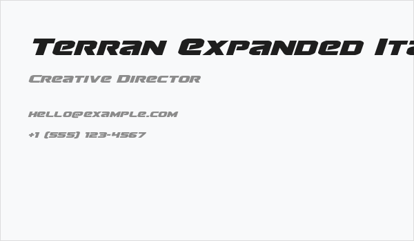 Terran Expanded Italic Business Card