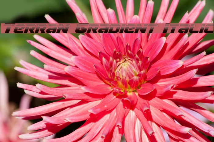 Terran Gradient Italic Font examples