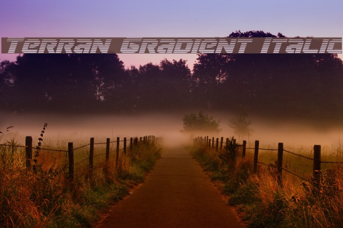 Terran Gradient Italic Font examples