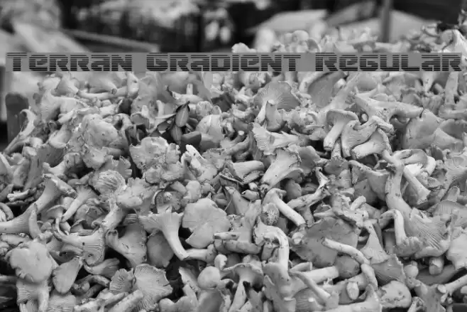 Terran Gradient Regular Font examples