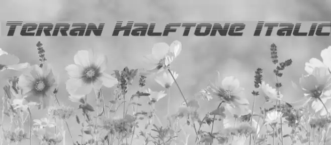 Terran Halftone Italic Font examples