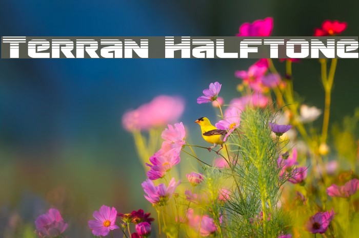 Terran Halftone Font examples