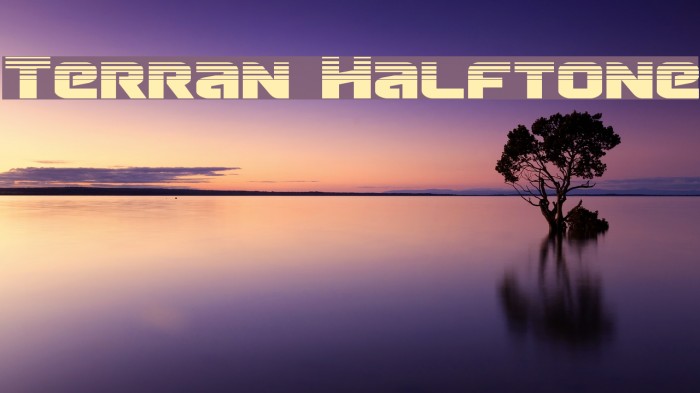 Terran Halftone Font examples